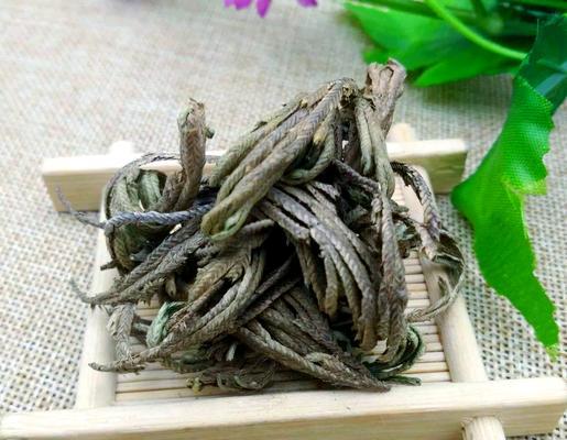 卷柏的药用价值是什么？它有哪些具体功效？