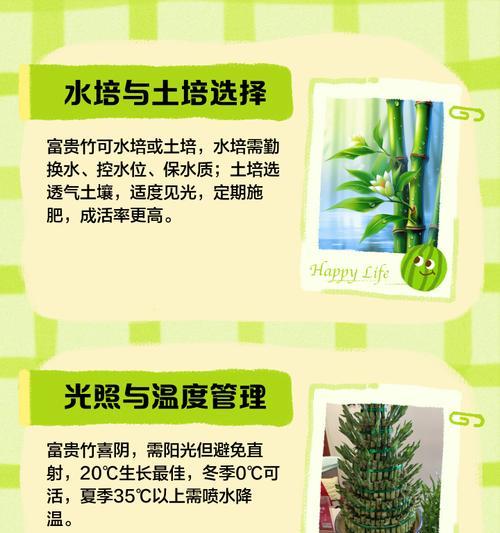 富贵竹繁殖方法有哪些？如何进行富贵竹的繁殖？