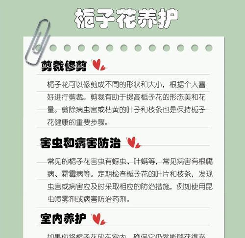 栀子花养护需要注意哪些问题？