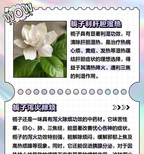 栀子花养护需要注意哪些问题？