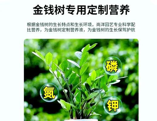 树木烂根的处理方法是什么？如何预防和解决树木烂根问题？