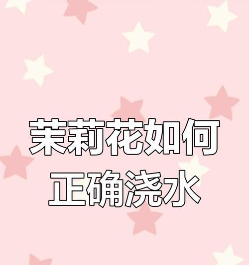 茉莉花浇水的正确频率和量是多少？
