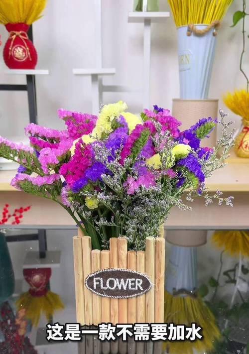 勿忘草种植的步骤是什么？如何保证其良好生长？