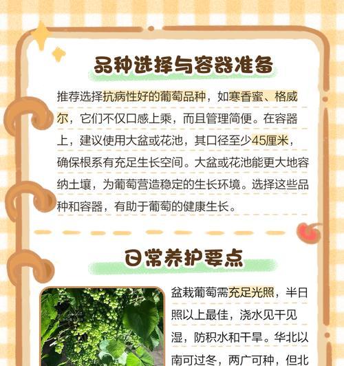 葡萄树的种植步骤是什么？如何提高产量？