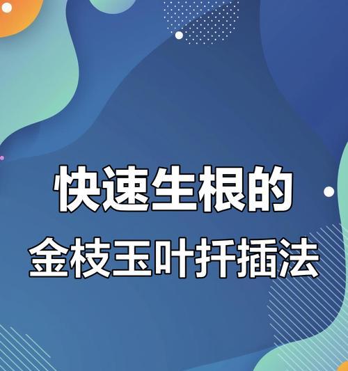 金枝玉叶扦插的成功秘诀是什么？