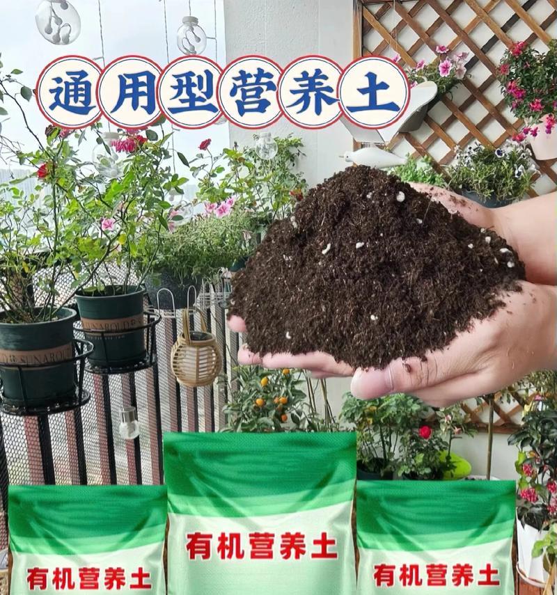 绿萝需要什么肥料？绿萝施肥的正确方法是什么？
