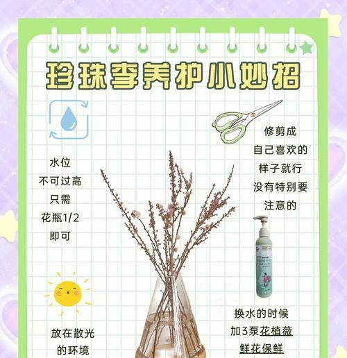 盆栽保湿的技巧有哪些？如何避免盆栽过度干燥？