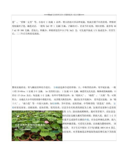 荷花种植的正确步骤是什么？