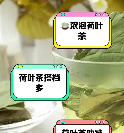 荷叶的养殖方法是什么？如何保持荷叶的健康生长？