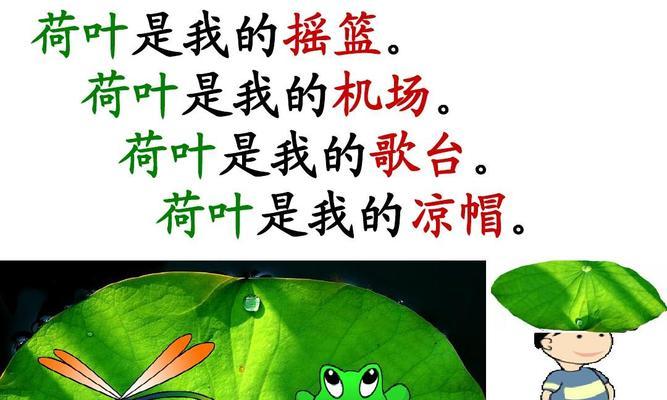 荷叶的养殖方法是什么？如何保持荷叶的健康生长？