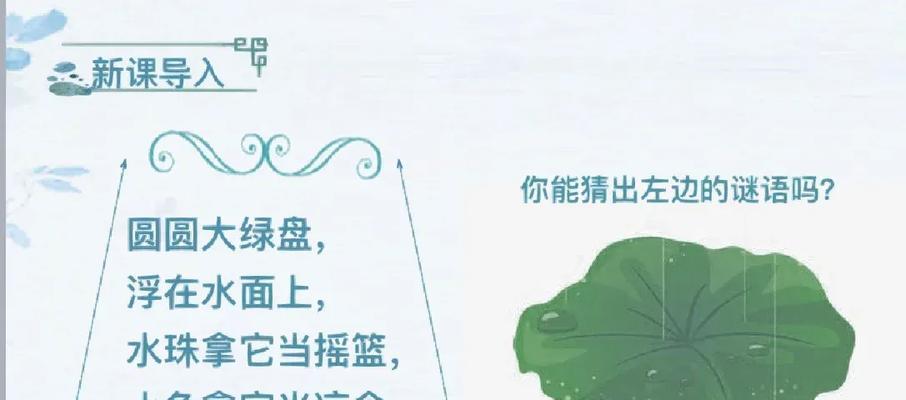 荷叶的养殖方法是什么？如何保持荷叶的健康生长？