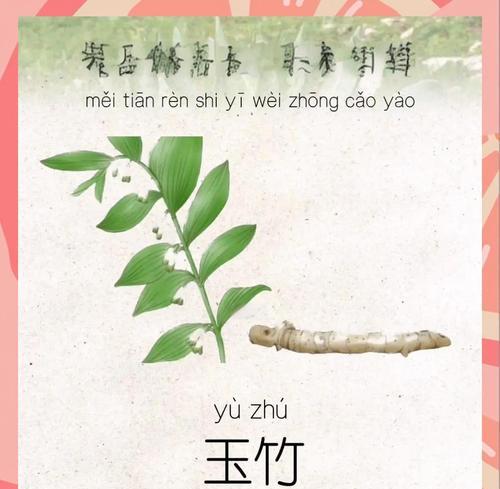 玉竹的种植步骤和注意事项是什么？