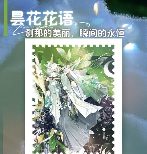 昙花的花语及其含义是什么？