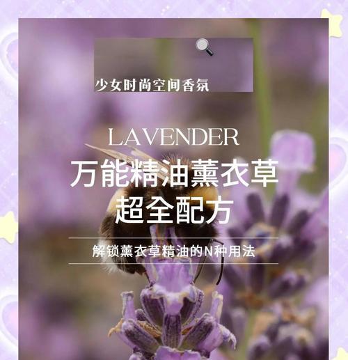 怎么养薰衣草？薰衣草的养殖方法有哪些？