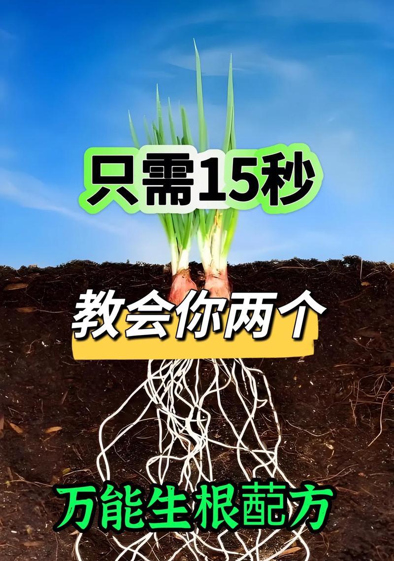 植物快速生根的方法是什么？