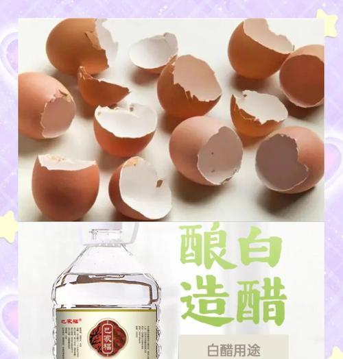 鸡蛋壳如何制作成有机肥料？使用鸡蛋壳肥料有哪些好处？