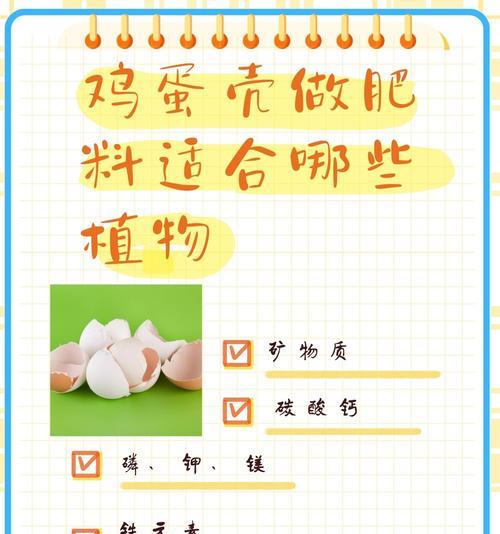 鸡蛋壳如何制作成有机肥料？使用鸡蛋壳肥料有哪些好处？