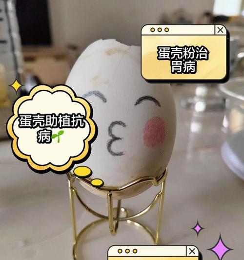 鸡蛋壳如何制作成有机肥料？使用鸡蛋壳肥料有哪些好处？