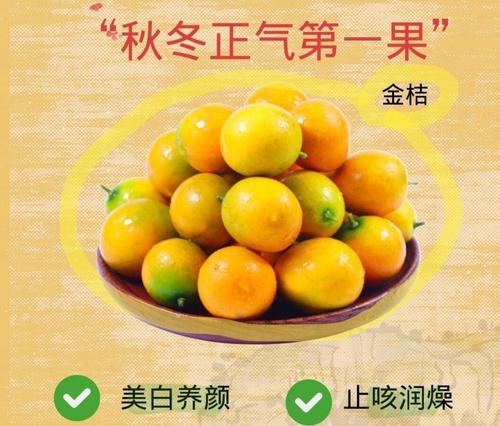 金桔冬季养护需要注意哪些要点？