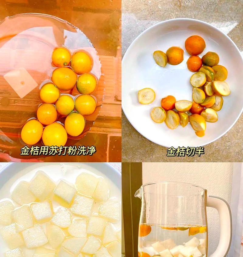金桔冬季养护需要注意哪些要点？