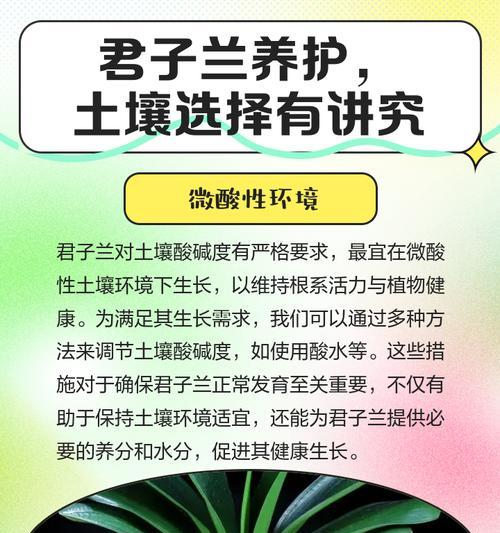 君子兰土壤配制的正确方法是什么？