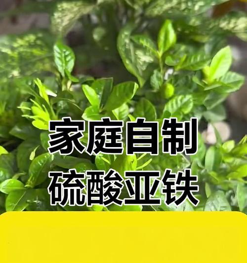 调节土壤ph值的正确方法和重要性是什么？