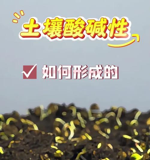 调节土壤ph值的正确方法和重要性是什么？