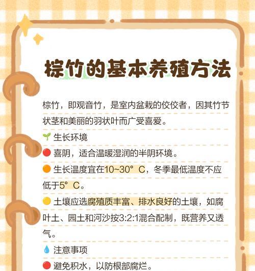 棕竹换盆的正确步骤是什么？注意事项有哪些？