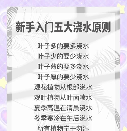 碰碰香浇水的正确时机？如何判断水分需求？