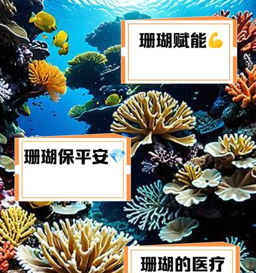 珊瑚藤的养护要点是什么？