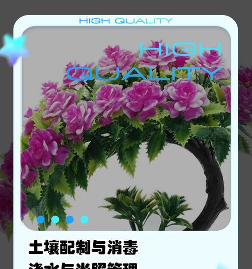 冬季盆栽牡丹的养护技巧有哪些？