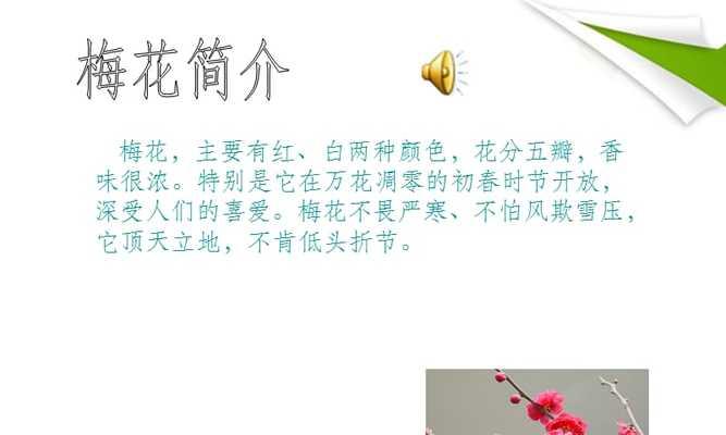 梅花的形态特征和种类有哪些？