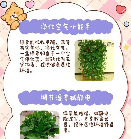 绿萝净化空气的原理是什么？它对室内环境有哪些益处？