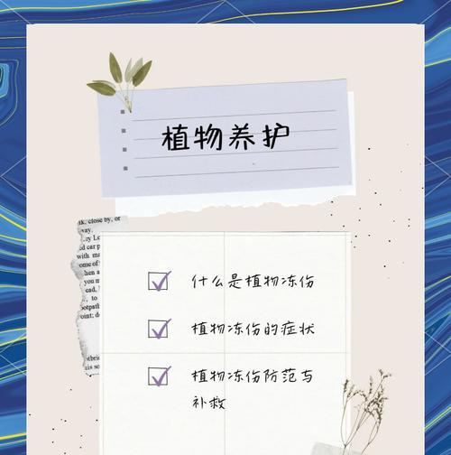 哪些植物不耐寒？如何在冬季保护？