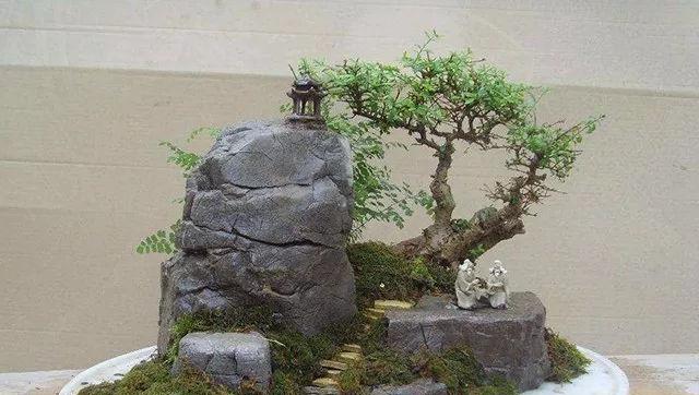 山水盆景制作方法和技巧有哪些？
