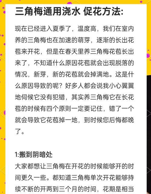 三角梅施肥的最佳时间是什么时候？