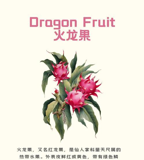 火龙果的外观特征有哪些？