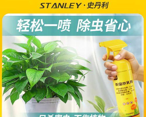 绿萝长虫后如何处理？