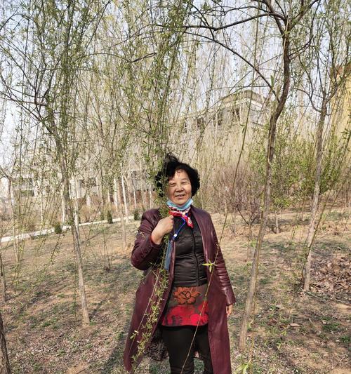 青美人养护需要注意什么？如何让青美人更健康？