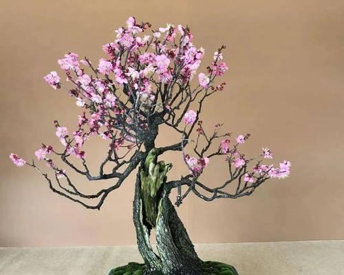 梅花盆景品种有哪些？如何打造美丽的梅花盆景？