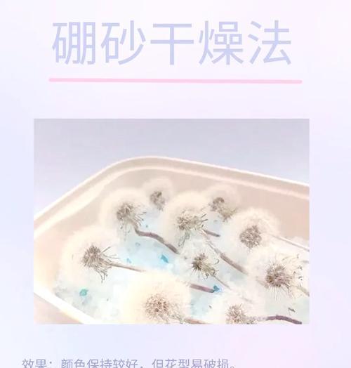 鲜花制作干花的步骤和技巧是什么？