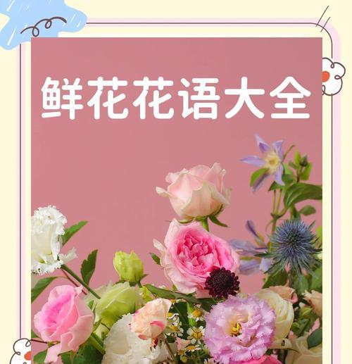 露草移植的最佳时机和方法是什么？