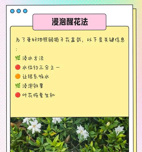 栀子花缺铁症状的解决方法是什么？