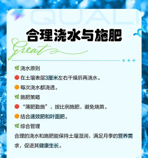 大月季种植需要注意哪些关键步骤？