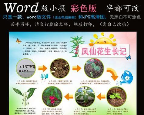 凤仙花的种植技巧有哪些？如何保证凤仙花顺利生长？