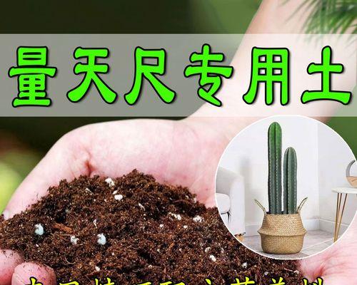 量天尺怎么繁殖？量天尺的繁殖方法是什么？