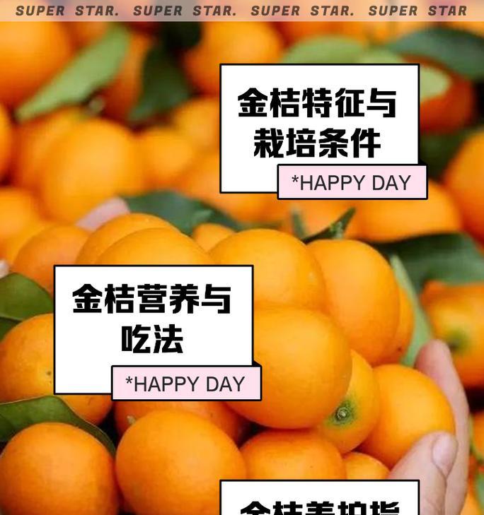 金桔的正确养护方法有哪些？