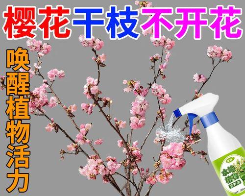 水培催芽肥料使用方法是什么？正确使用后催芽效果如何？