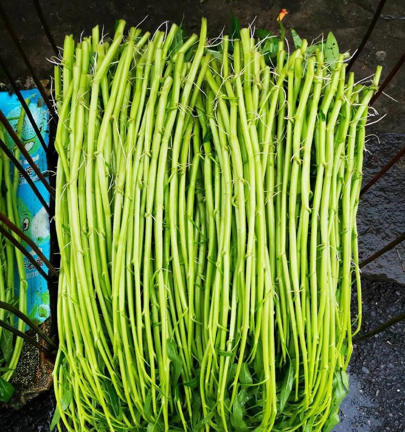 白梗空心菜催芽方法是什么？需要多长时间才能发芽？