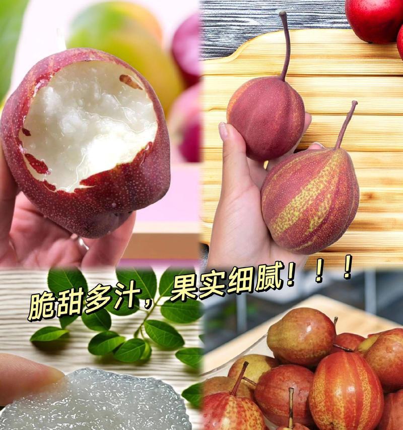 彩虹梨修剪枝条的最佳时机是什么时候？如何正确修剪？